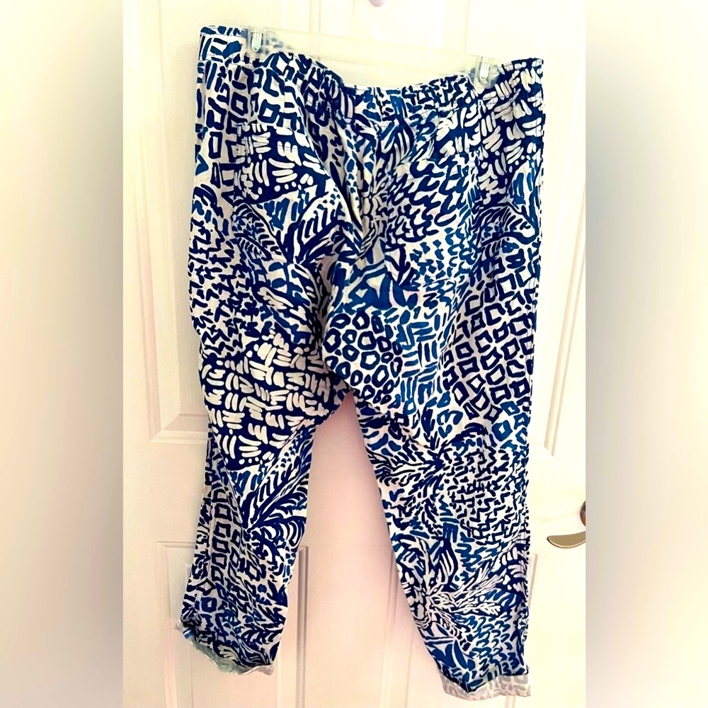 EUC Lilly Pulitzer Aden Linen Pants Home Slice - Large - Picture 3 of 3